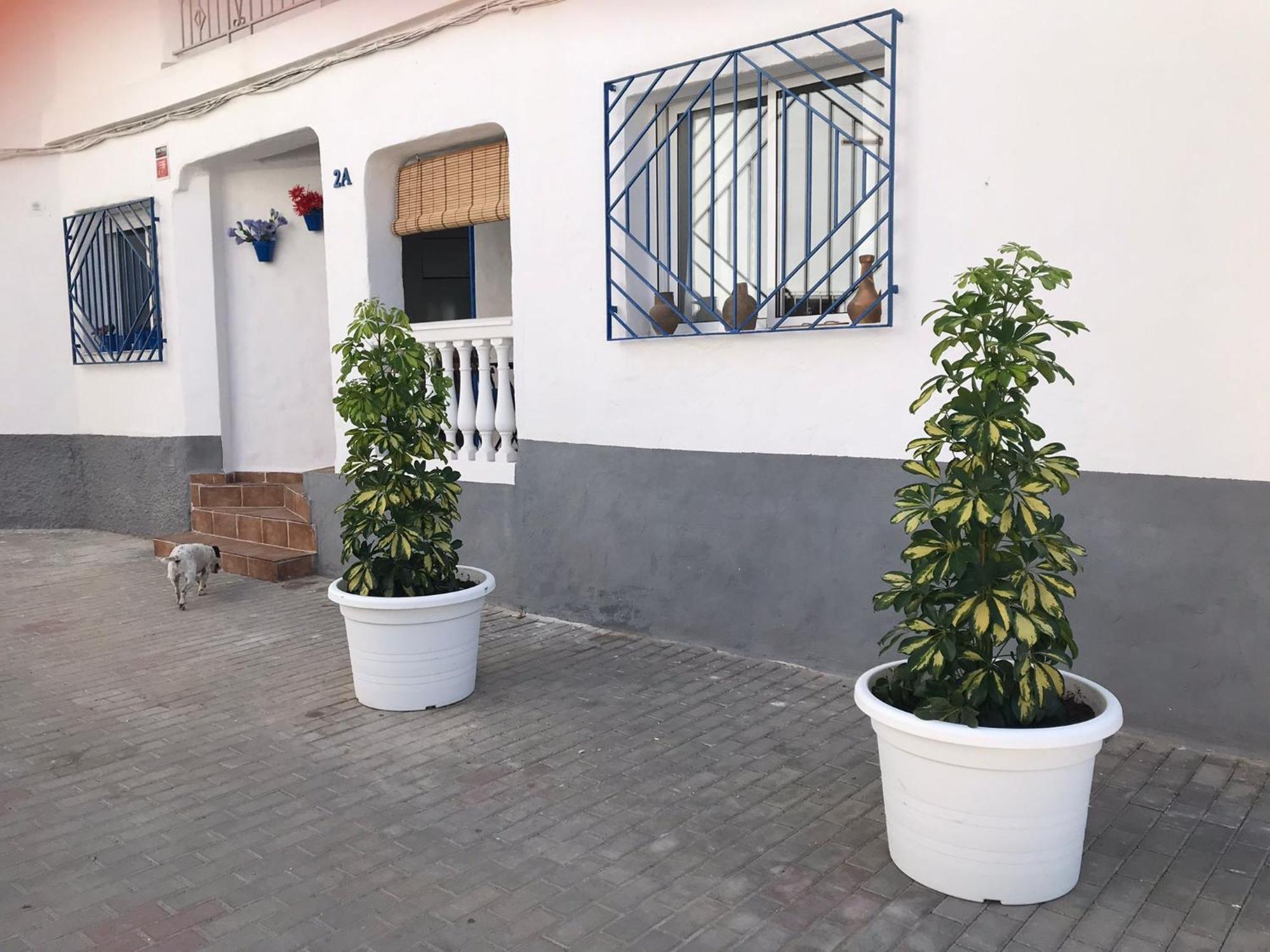 Apartamentos Lolitalola Holidays Salobrena Luaran gambar